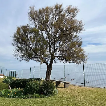 Premium Luxury-casares Del Mar-seaside *