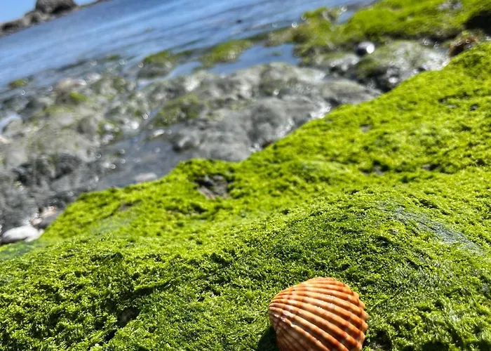 Premium Luxury-casares Del Mar-seaside * Estepona