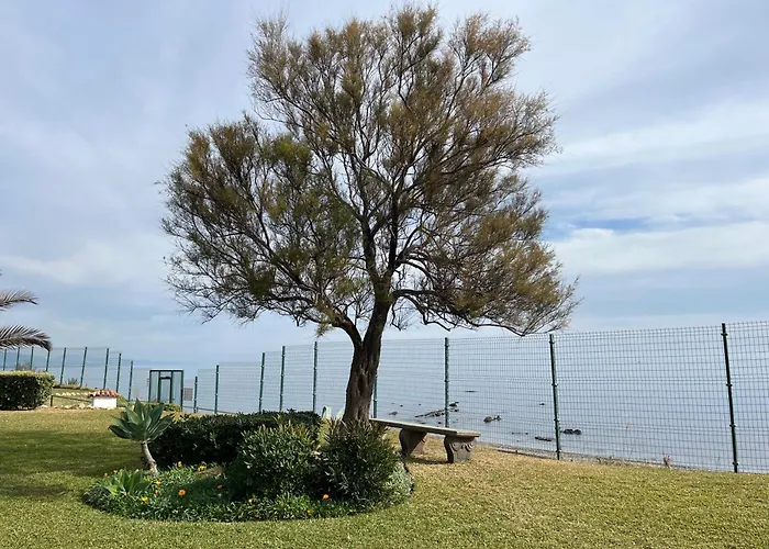 Premium Luxury-casares Del Mar-seaside *